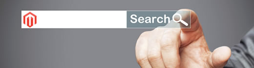 El buscador en Magento