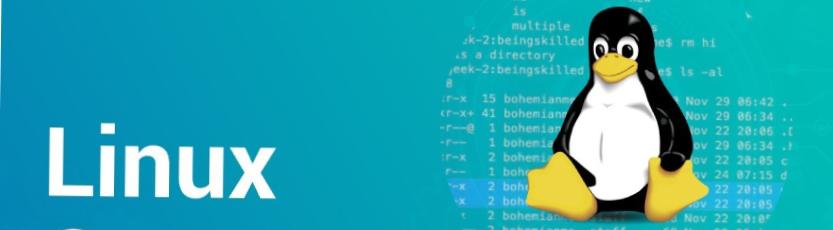 Principales comandos en Magento 2